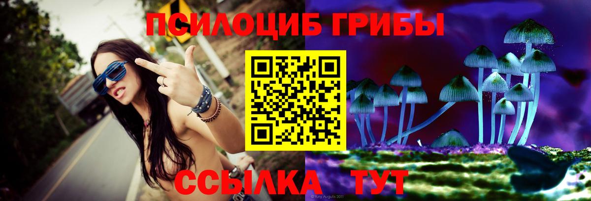 Донской  Галлюциногенные грибы Psilocybine cubensis  Псилоцибиновые грибы MAGIC MUSHROOMS  Вход с VPN 
